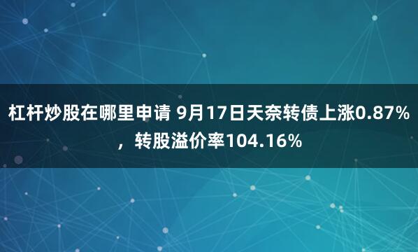 杠杆炒股在哪里申请 9月17日天奈转债上涨0.87%，转股溢价率104.16%