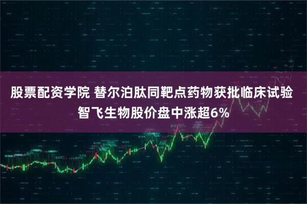 股票配资学院 替尔泊肽同靶点药物获批临床试验 智飞生物股价盘中涨超6%