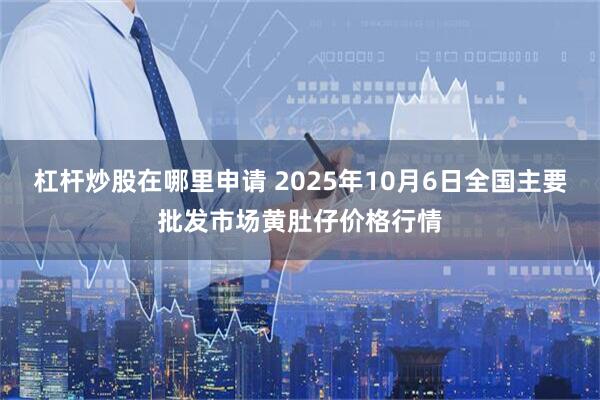 杠杆炒股在哪里申请 2025年10月6日全国主要批发市场黄肚仔价格行情