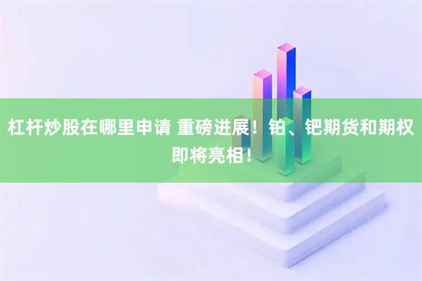 杠杆炒股在哪里申请 重磅进展！铂、钯期货和期权即将亮相！