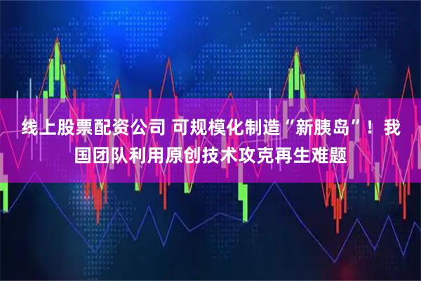 线上股票配资公司 可规模化制造“新胰岛”！我国团队利用原创技术攻克再生难题
