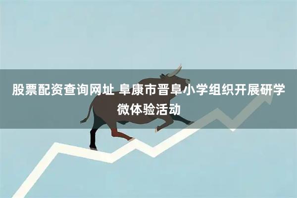 股票配资查询网址 阜康市晋阜小学组织开展研学微体验活动