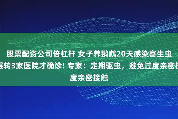 股票配资公司倍杠杆 女子养鹦鹉20天感染寄生虫，辗转3家医院才确诊! 专家：定期驱虫，避免过度亲密接触