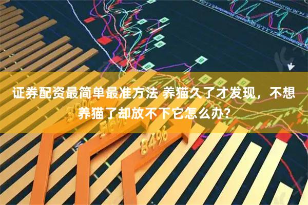 证券配资最简单最准方法 养猫久了才发现，不想养猫了却放不下它怎么办?
