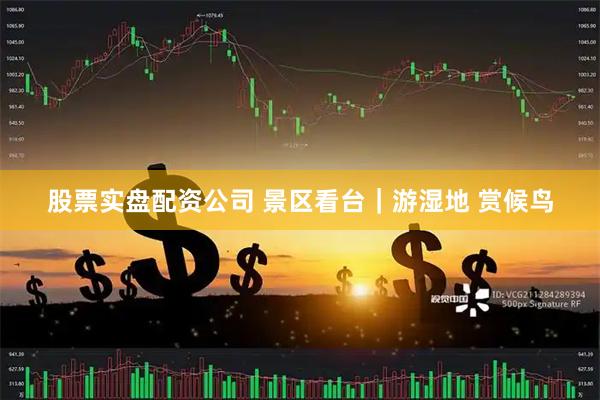 股票实盘配资公司 景区看台｜游湿地 赏候鸟
